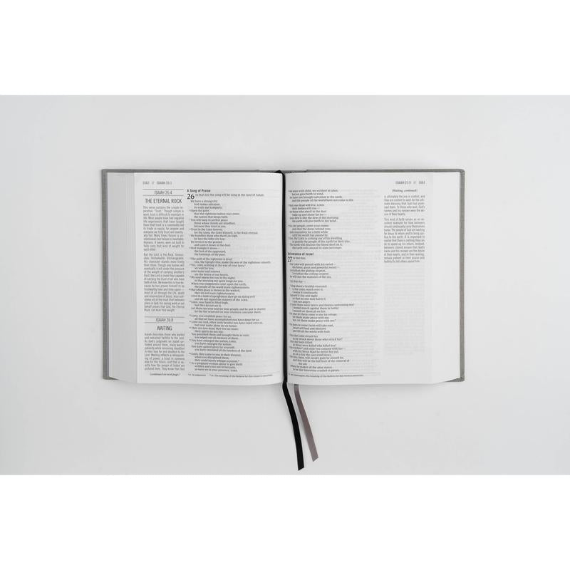 The Jesus Bible - NIV - Artist Edition Leather (Britt Bass)