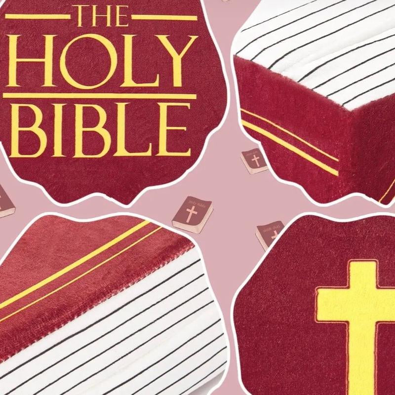 Huggable Bible Pillow