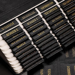 RETTACY Bible Tabs, Leather Bible Tabs, Large Size, Bible Tabs for Women, Bible Study Supplies, 66 Bible Tabs for Old and New Testament, Additional 21 Tabs for Apocrypha, 9 Blank Tabs for Book
