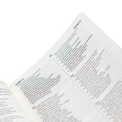 Bilingual Bible in Portuguese and English Nova Almeida Atualizada and English Standard Version Imitation Brown Leather