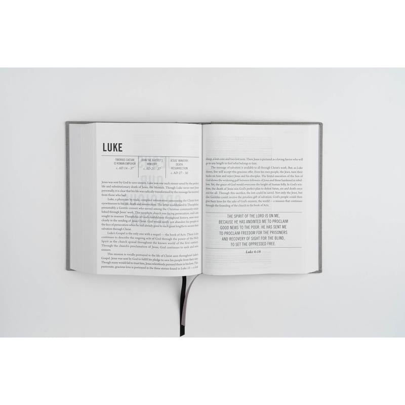 The Jesus Bible - NIV - Artist Edition Leather (Britt Bass)