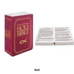 Huggable Bible Pillow