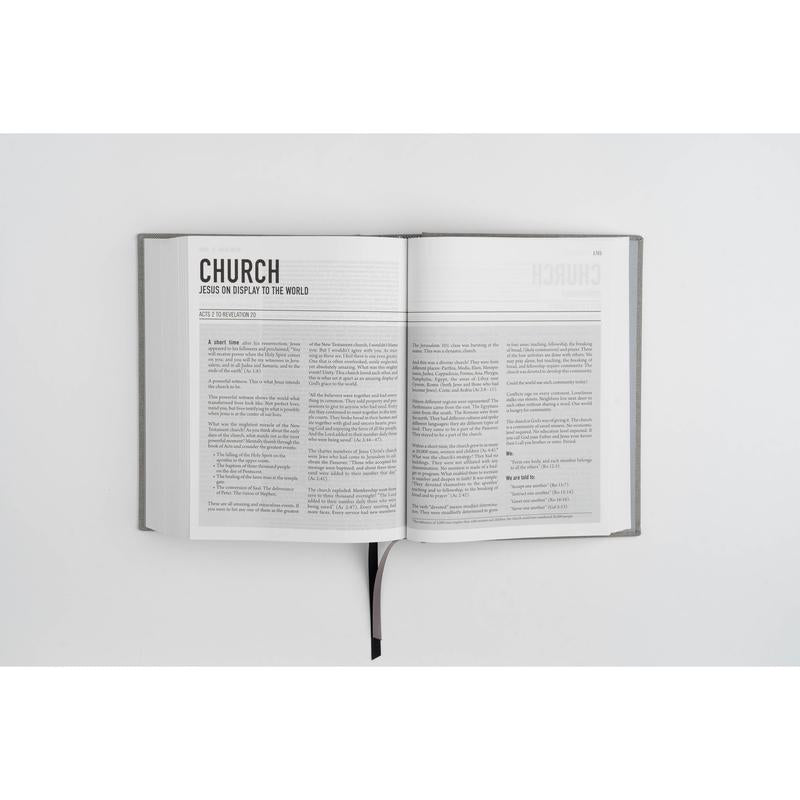 The Jesus Bible - NIV - Artist Edition Leather (Britt Bass)